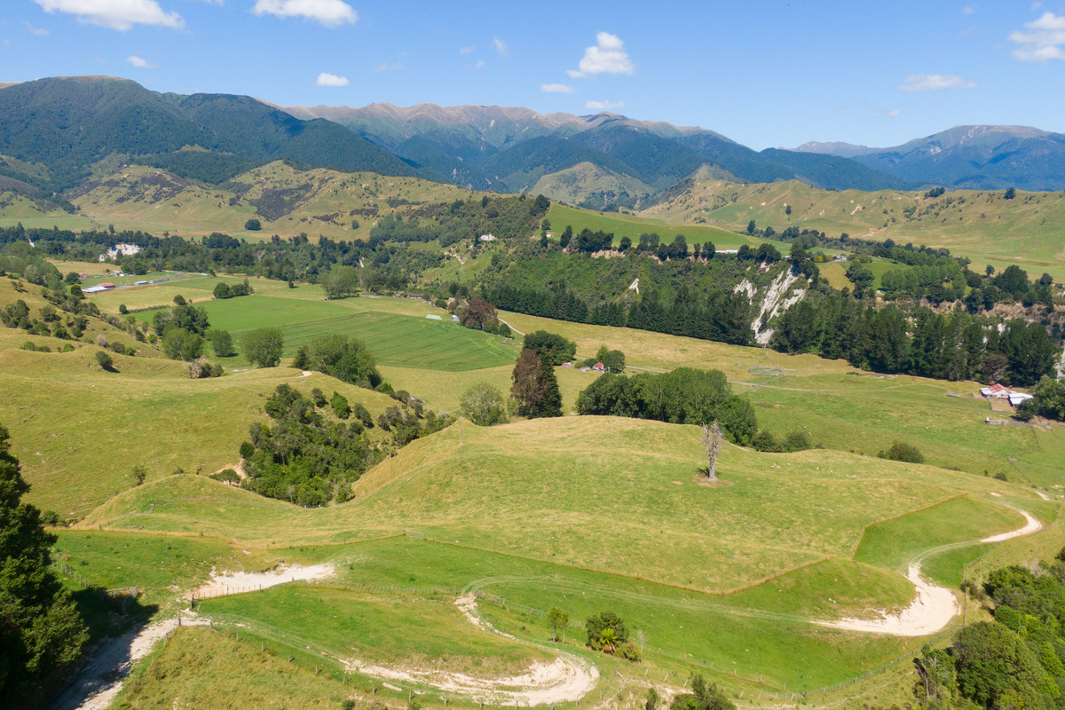 Strong Rangitikei Forward Store Country