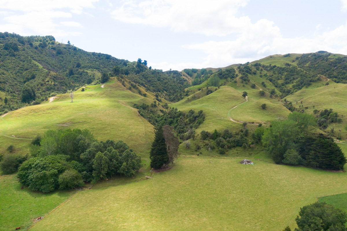 Strong Rangitikei Forward Store Country