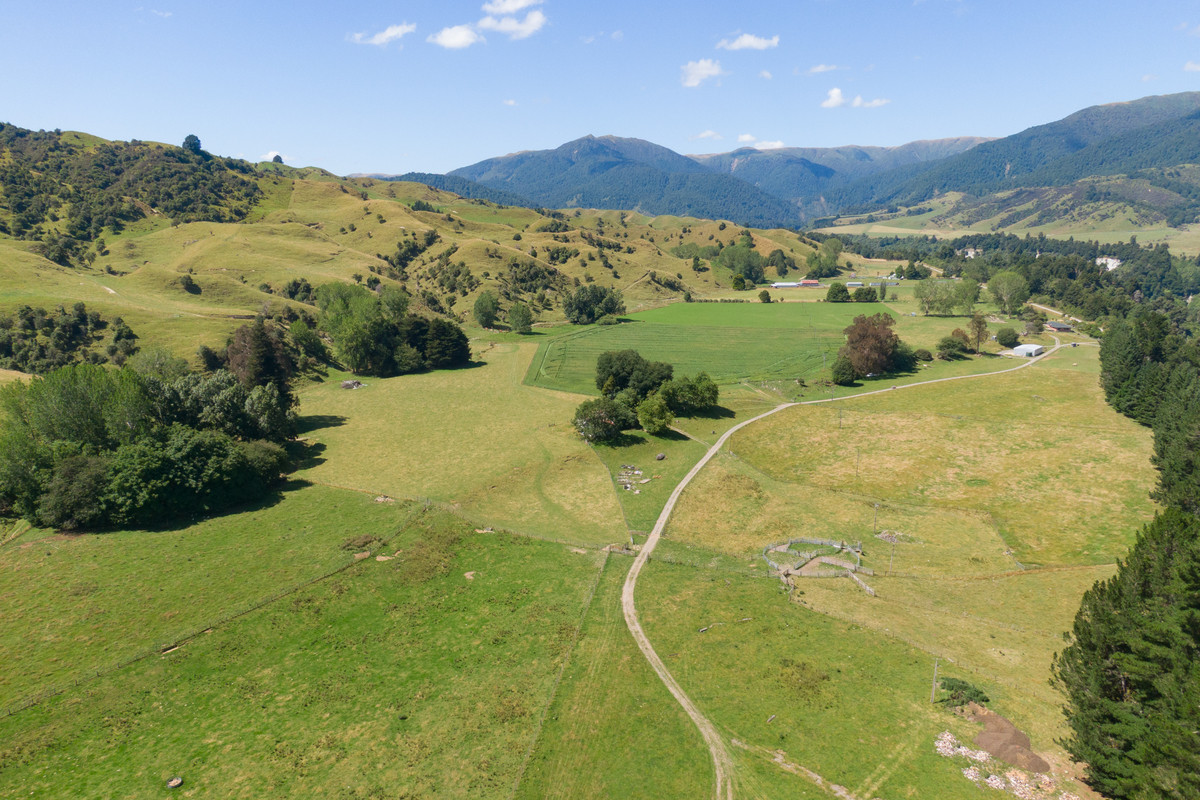 Strong Rangitikei Forward Store Country