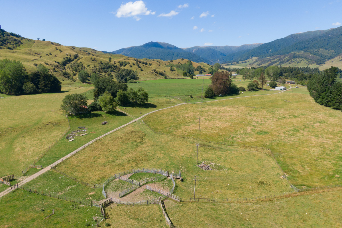 Strong Rangitikei Forward Store Country