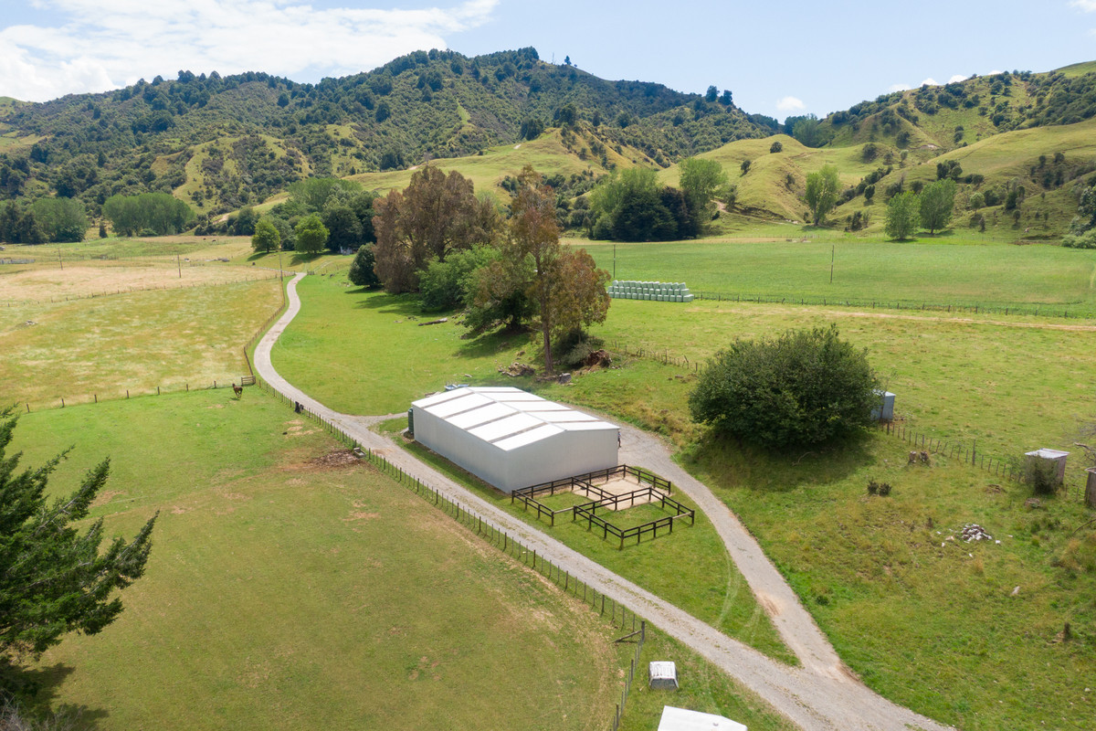 Strong Rangitikei Forward Store Country