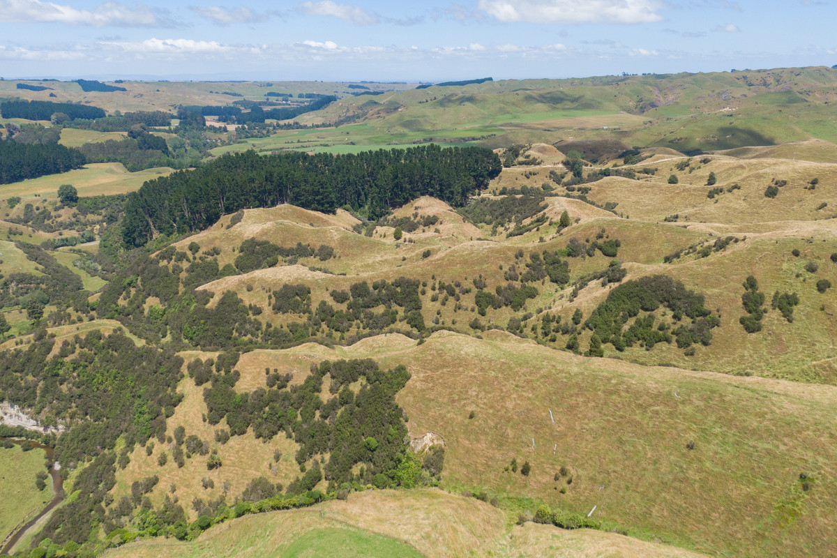 Easy Cattle Country, Excellent Access & Reticulated Stock Water