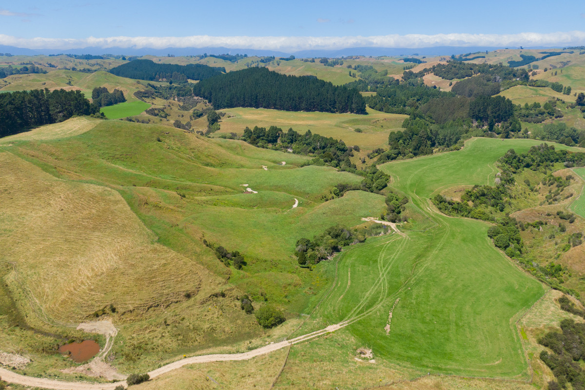 Easy Cattle Country, Excellent Access & Reticulated Stock Water