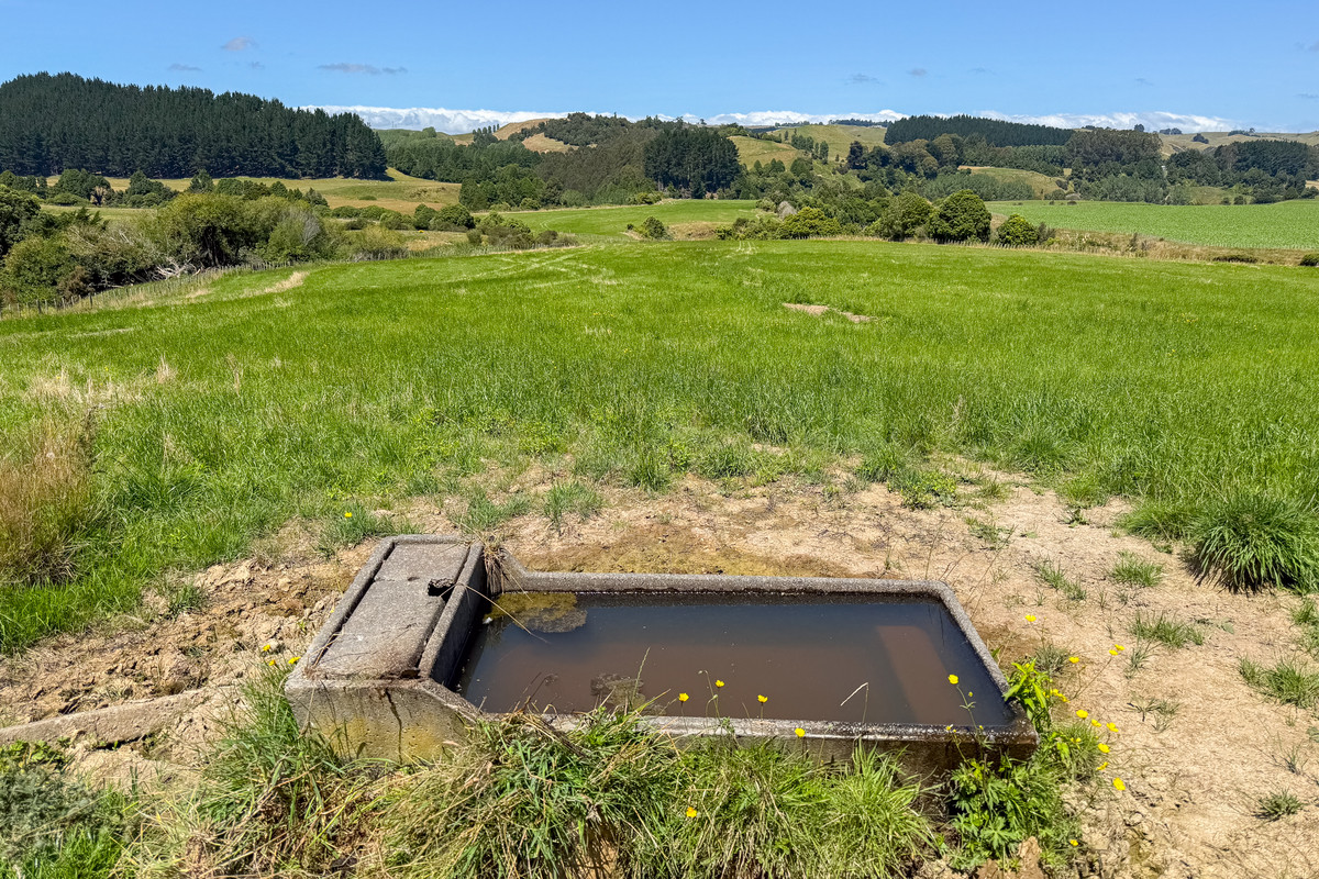 Easy Cattle Country, Excellent Access & Reticulated Stock Water