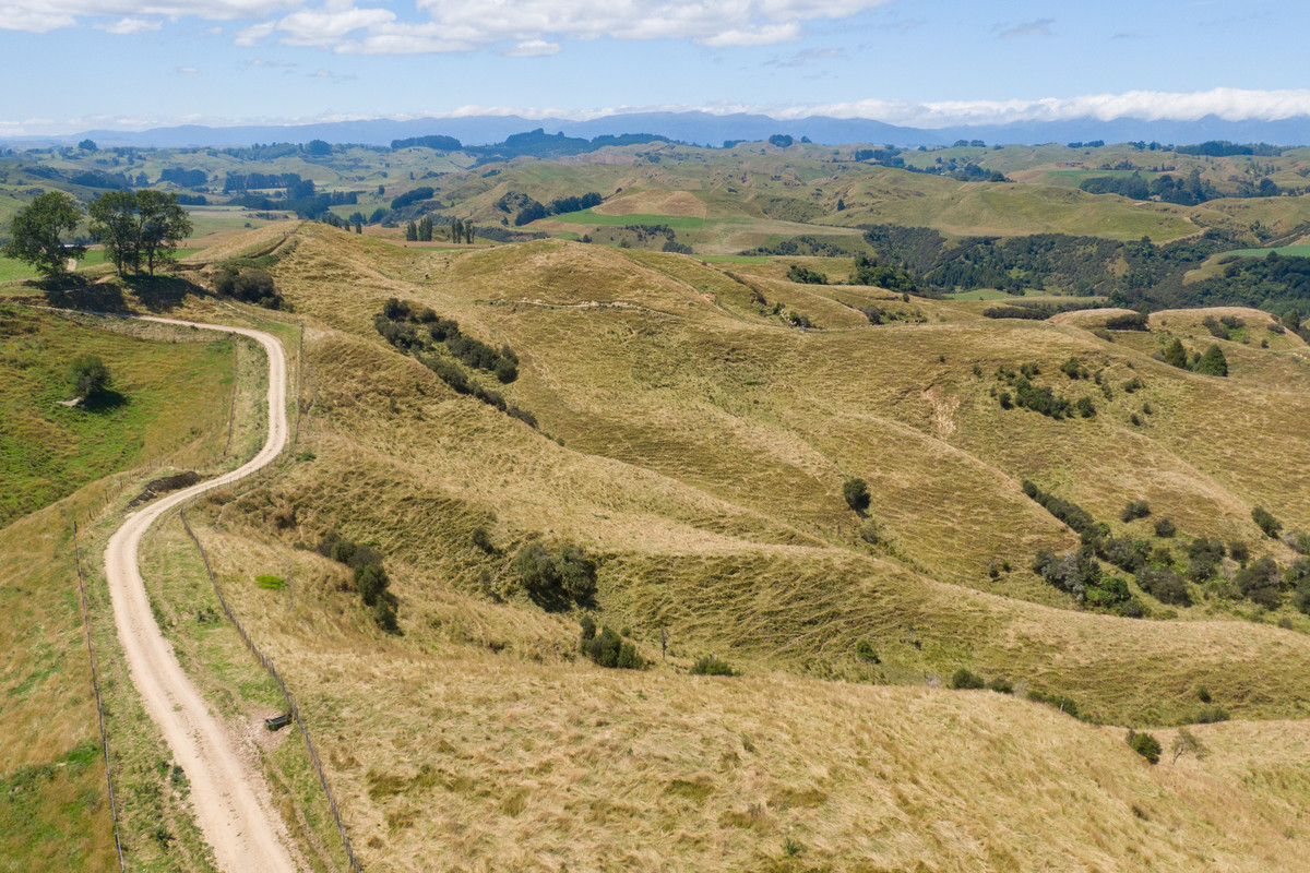 Easy Cattle Country, Excellent Access & Reticulated Stock Water