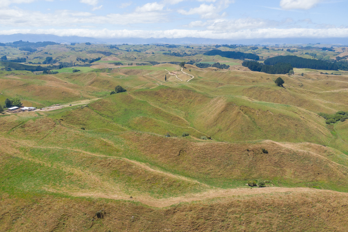 Easy Cattle Country, Excellent Access & Reticulated Stock Water