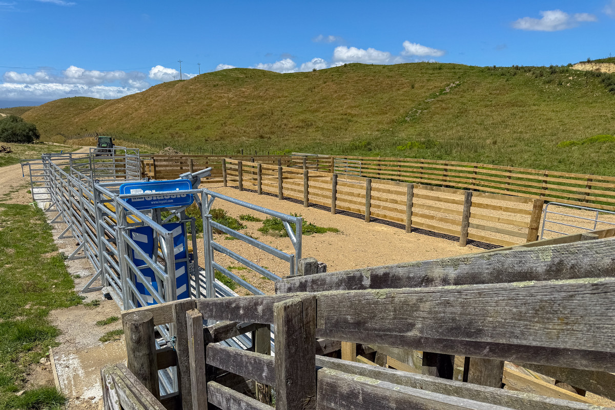 Easy Cattle Country, Excellent Access & Reticulated Stock Water