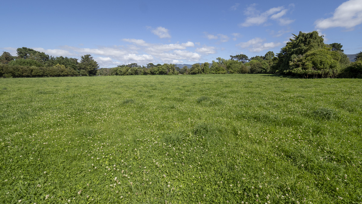 Lifestyle Opportunity In The Heart Of South Featherston