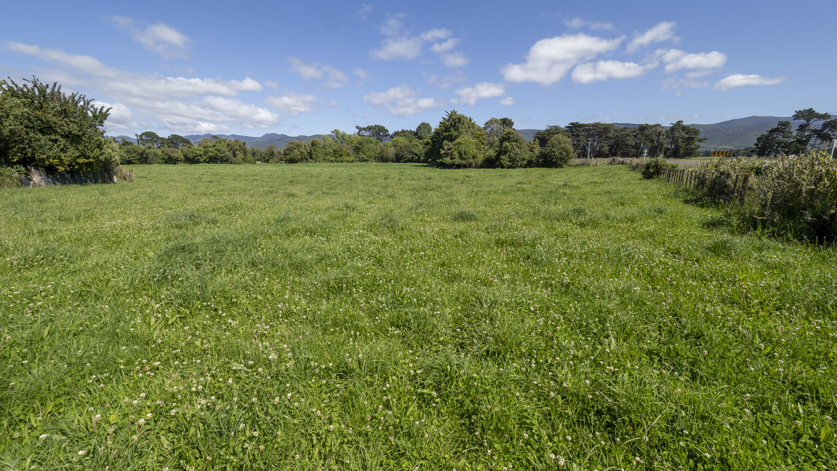 Lifestyle Opportunity In The Heart Of South Featherston