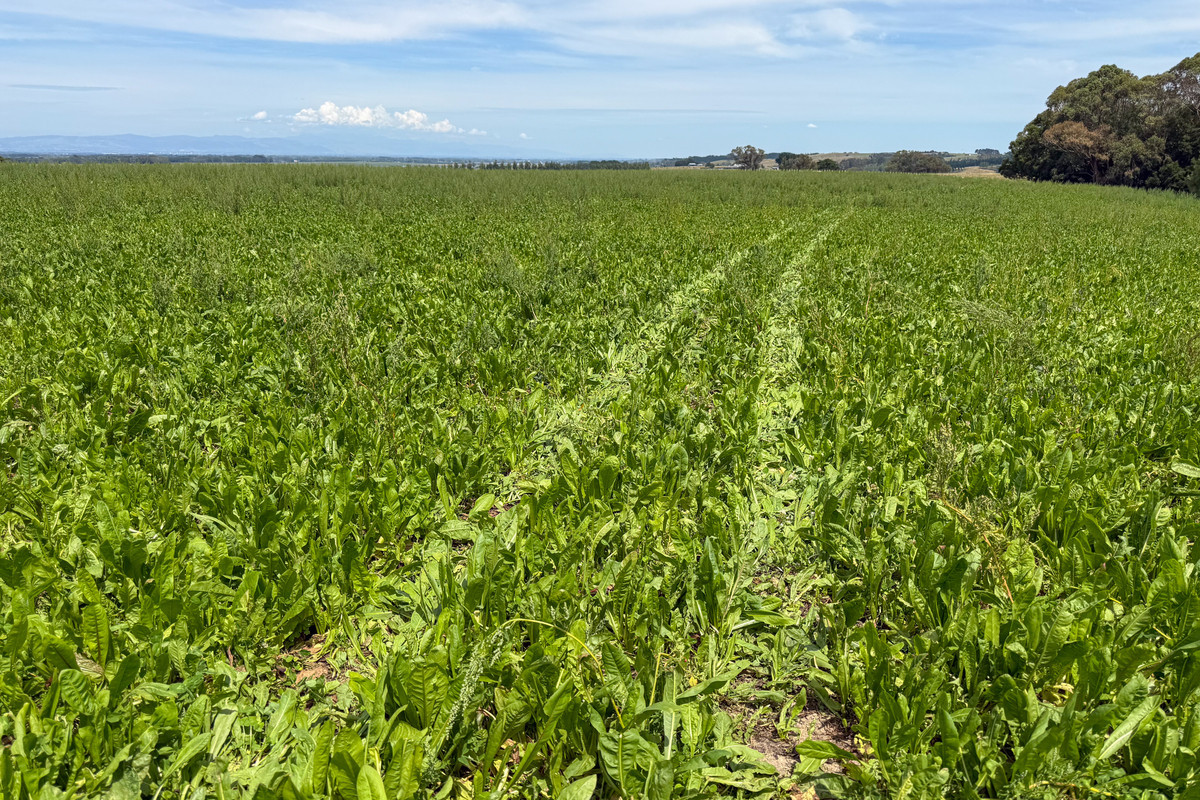 Attractive Finishing Property With Panoramic Views - 75.4 Hectares