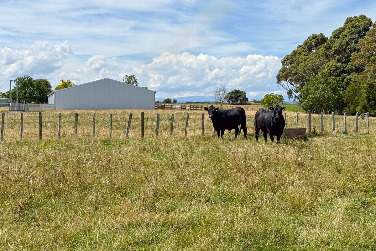 Attractive Finishing Property With Panoramic Views - 75.4 Hectares