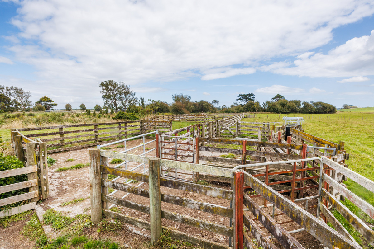 Well Set Up For Cattle With Private Home That Overlooks It All!