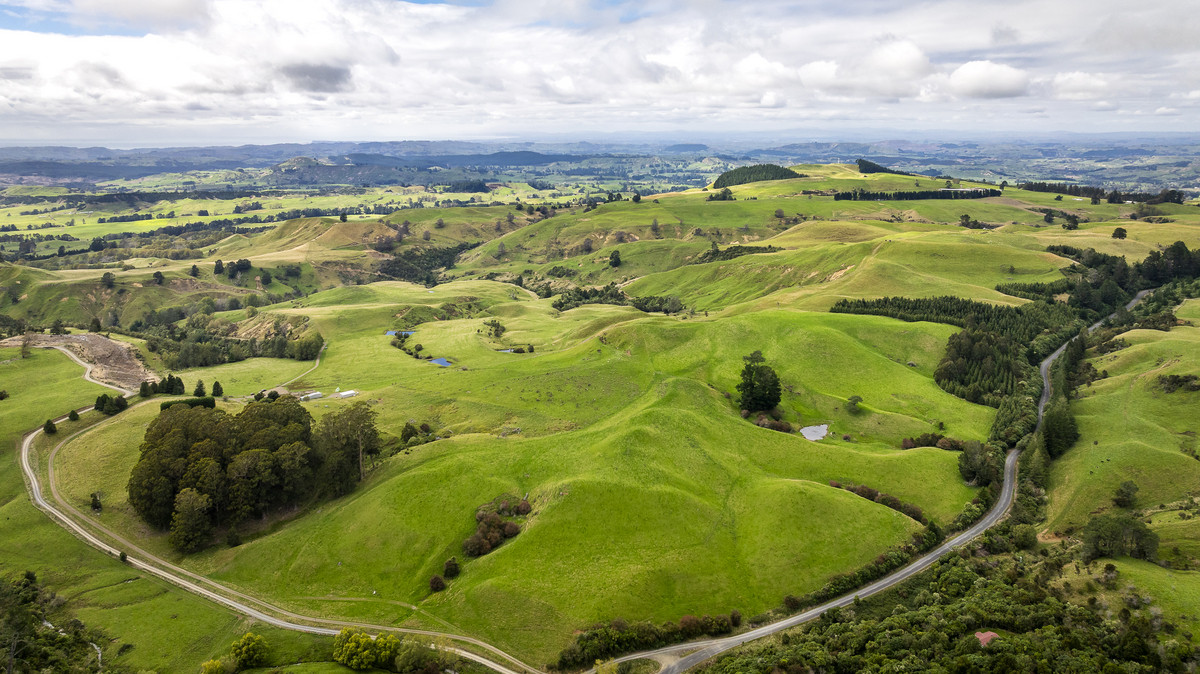 Puketitiri | Summer-Safe Farming Opportunity