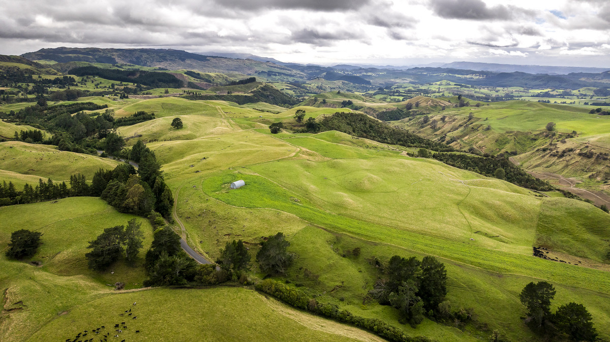 Puketitiri | Summer-Safe Farming Opportunity