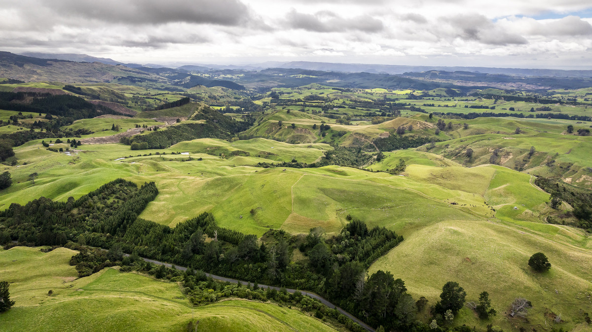 Puketitiri | Summer-Safe Farming Opportunity