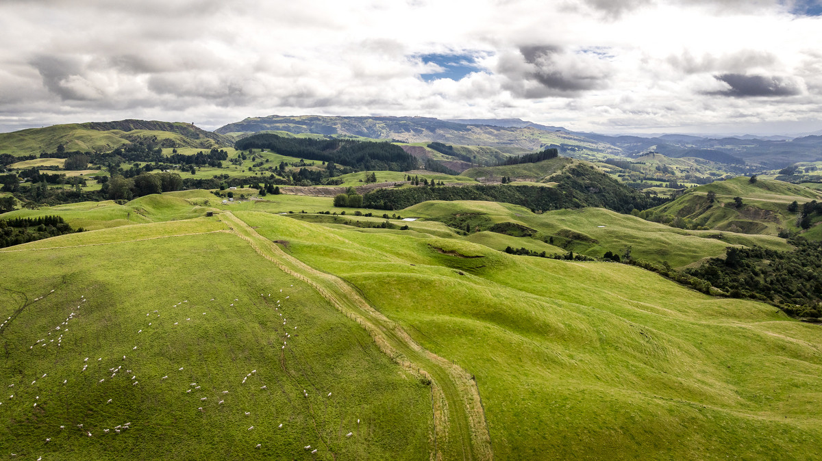 Puketitiri | Summer-Safe Farming Opportunity