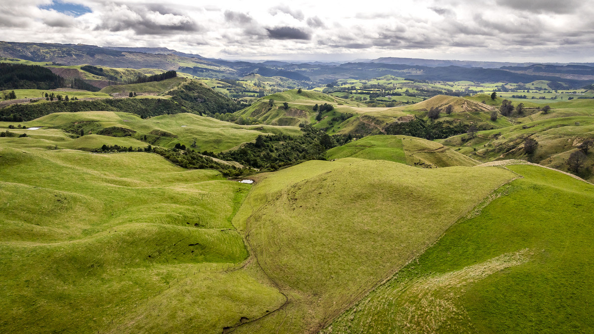 Puketitiri | Summer-Safe Farming Opportunity