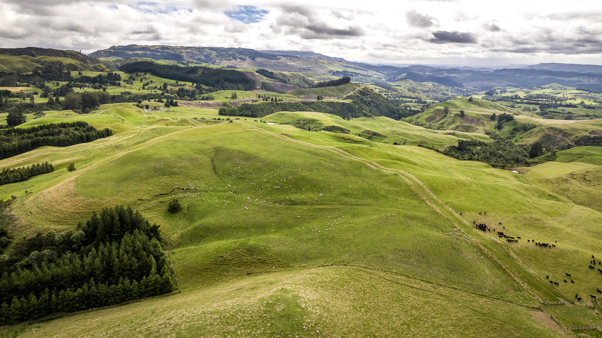 Puketitiri | Summer-Safe Farming Opportunity