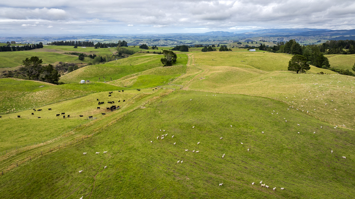 Puketitiri | Summer-Safe Farming Opportunity