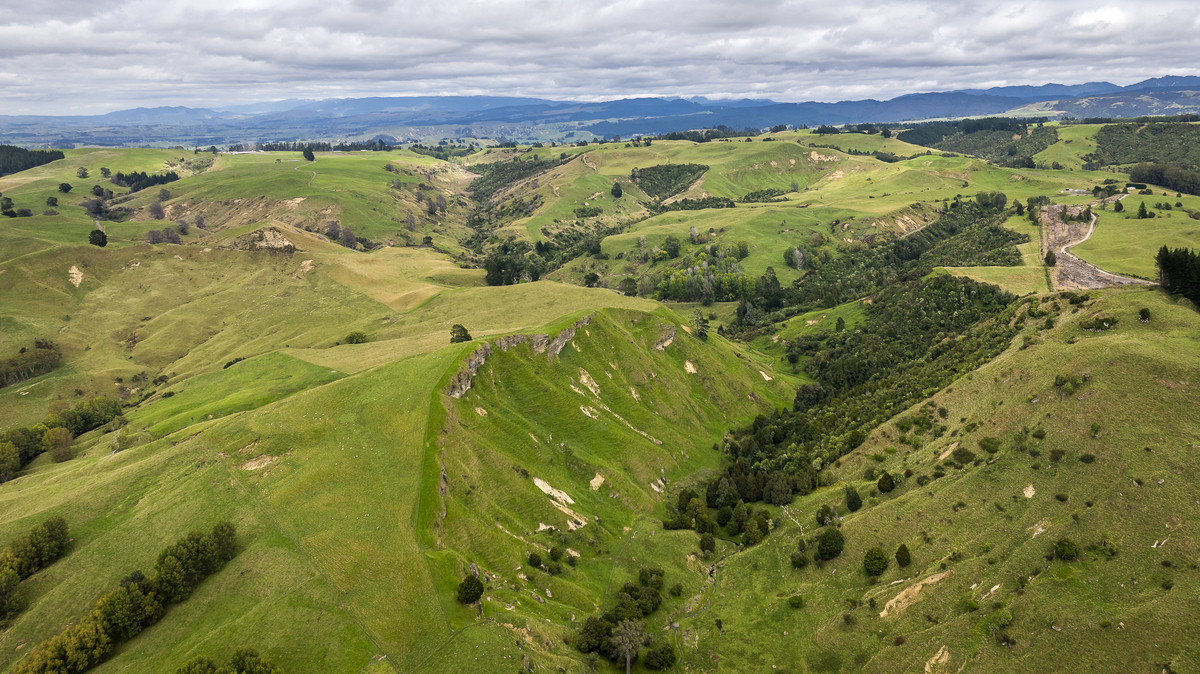Puketitiri | Summer-Safe Farming Opportunity