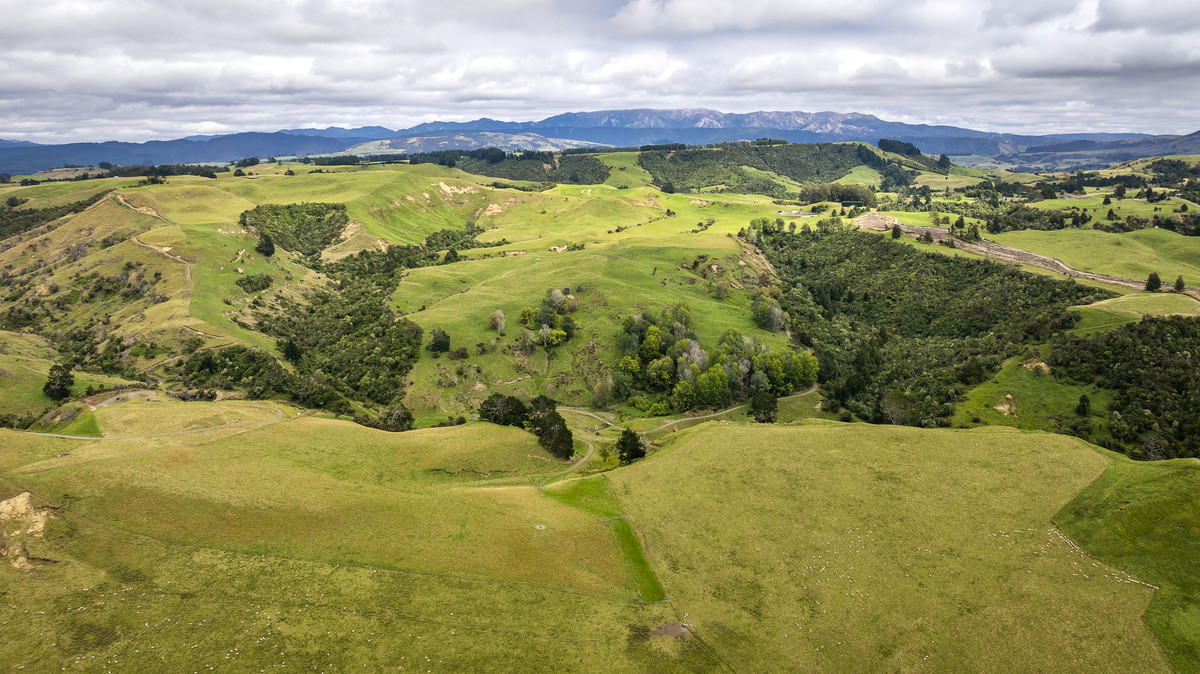 Puketitiri | Summer-Safe Farming Opportunity