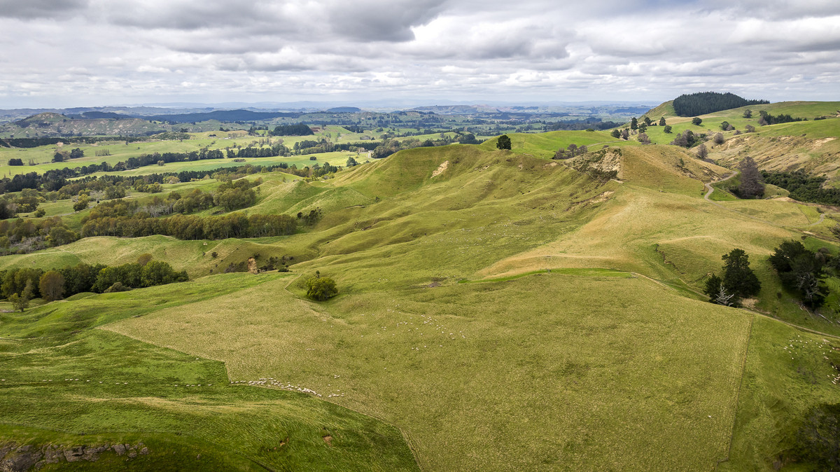 Puketitiri | Summer-Safe Farming Opportunity