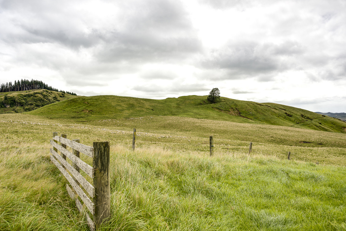 Puketitiri | Summer-Safe Farming Opportunity