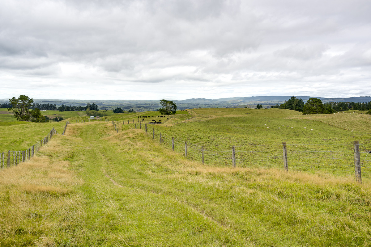 Puketitiri | Summer-Safe Farming Opportunity