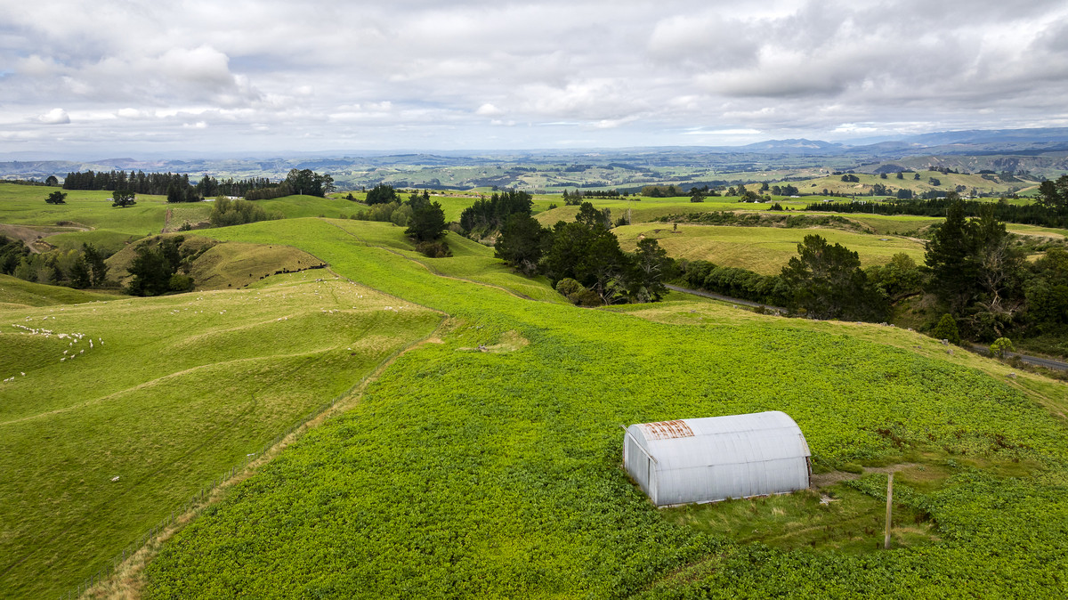 Puketitiri | Summer-Safe Farming Opportunity