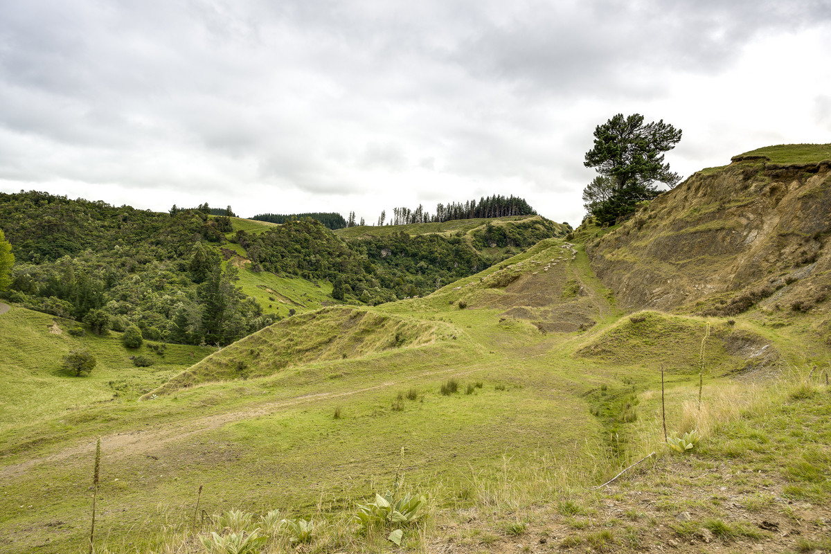 Puketitiri | Summer-Safe Farming Opportunity