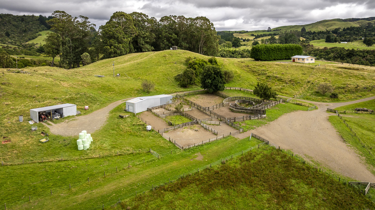 Puketitiri | Summer-Safe Farming Opportunity