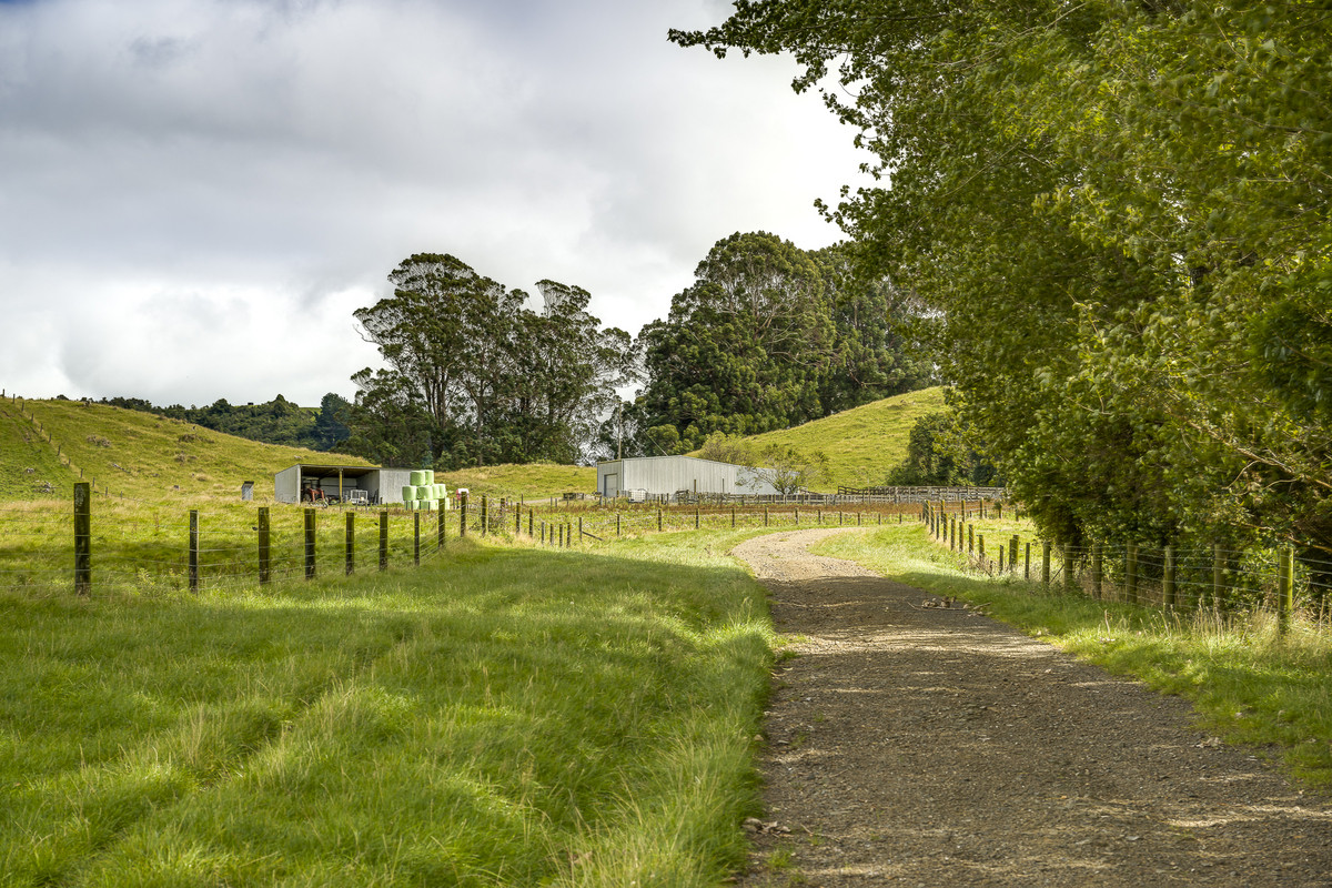 Puketitiri | Summer-Safe Farming Opportunity