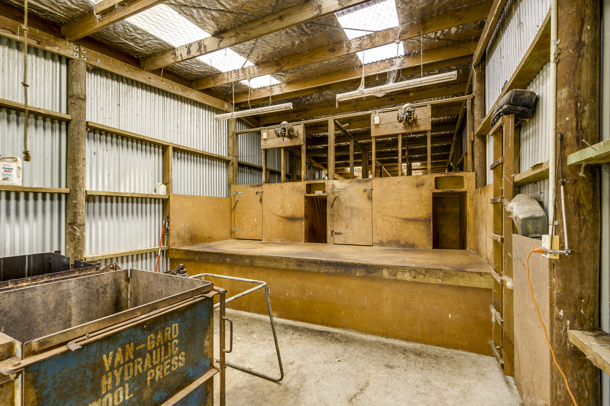 Puketitiri | Summer-Safe Farming Opportunity