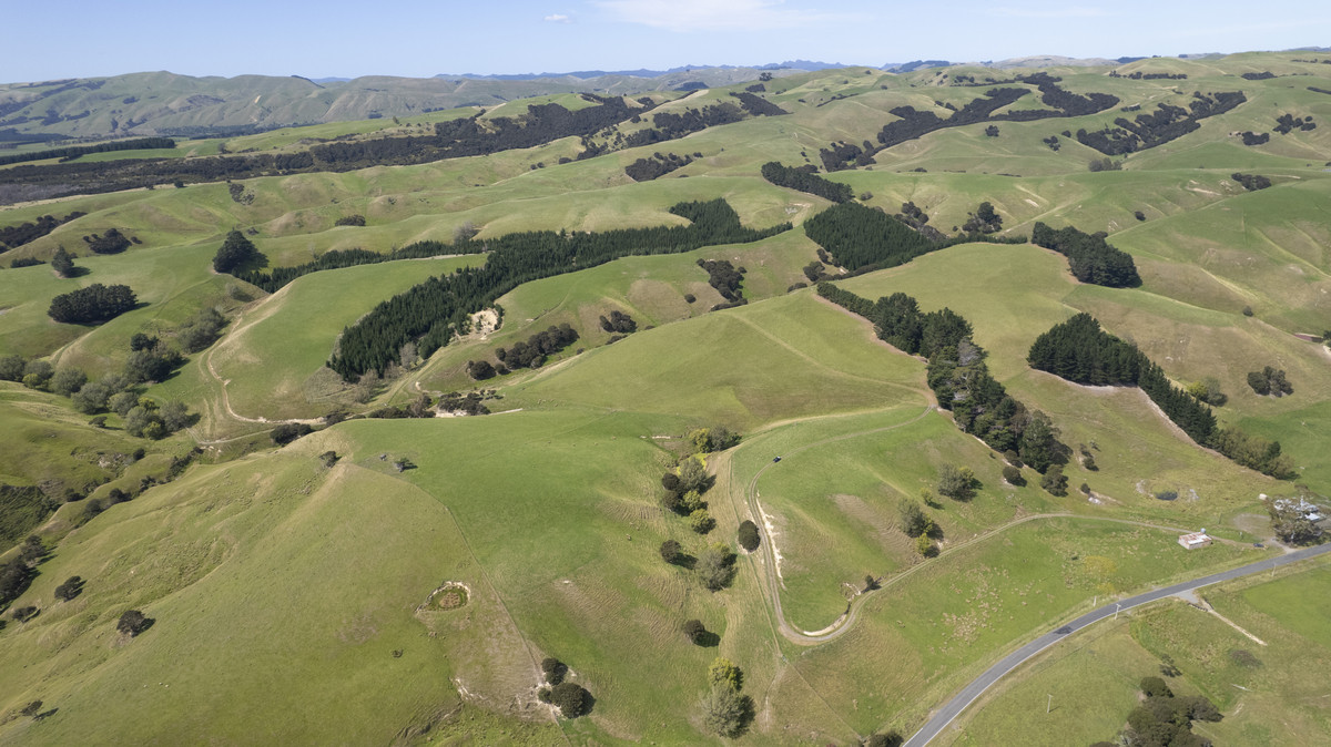 Versatility and Potential Close to Martinborough