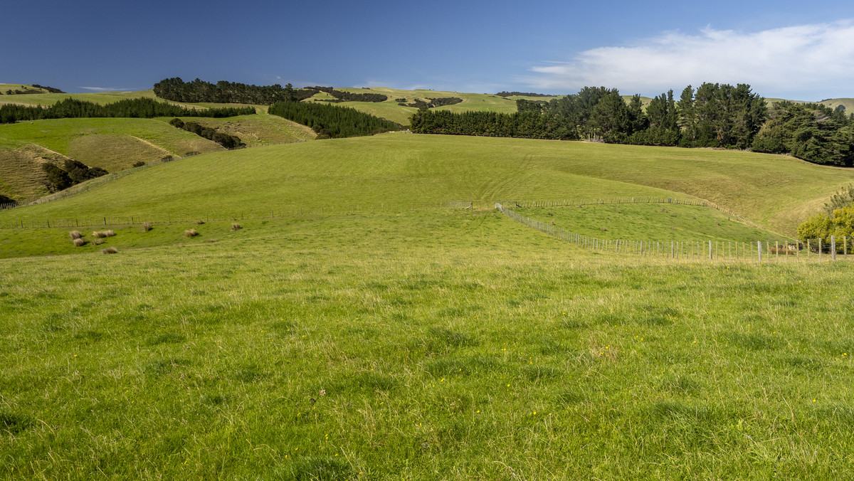 Versatility and Potential Close to Martinborough