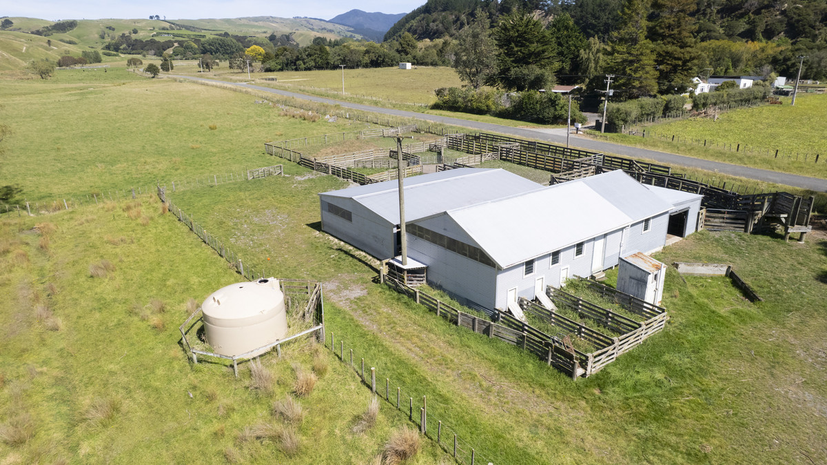 Versatility and Potential Close to Martinborough