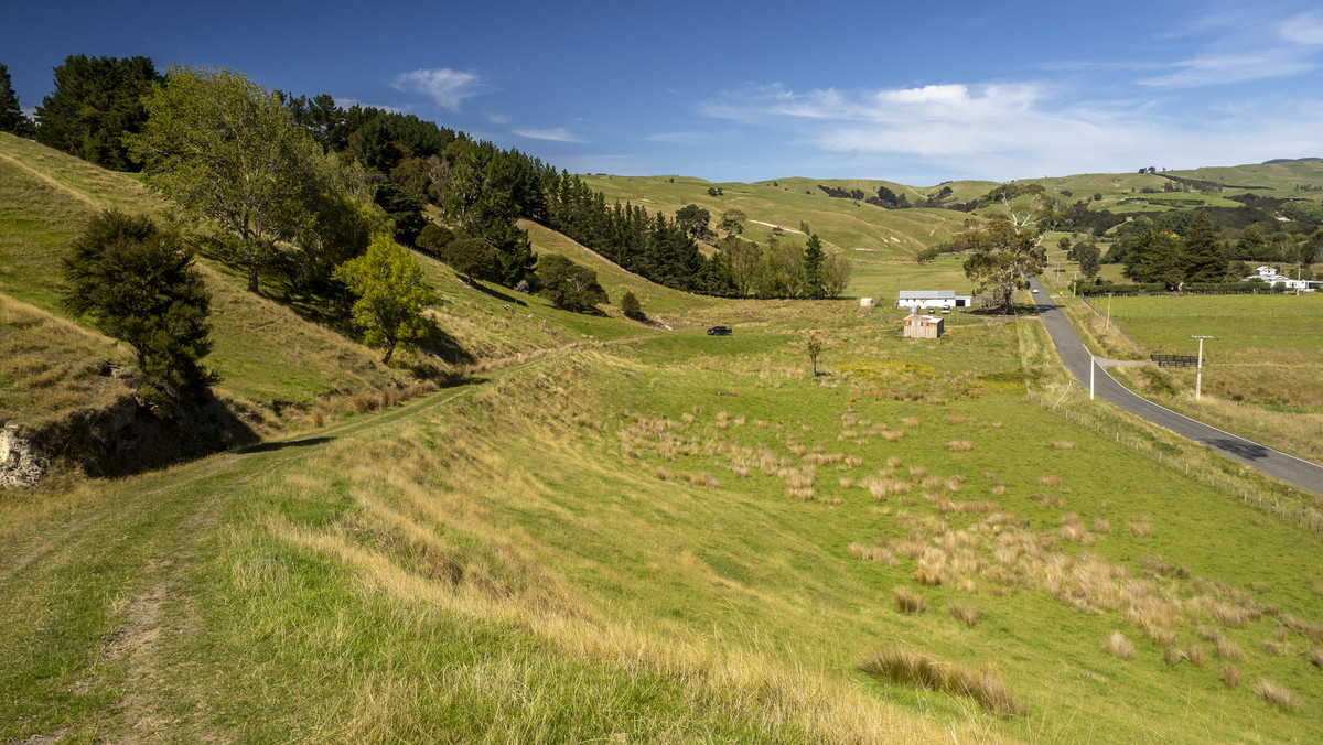 Versatility and Potential Close to Martinborough