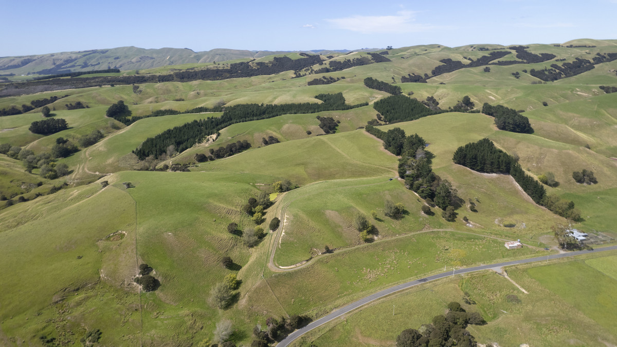 Versatility and Potential Close to Martinborough