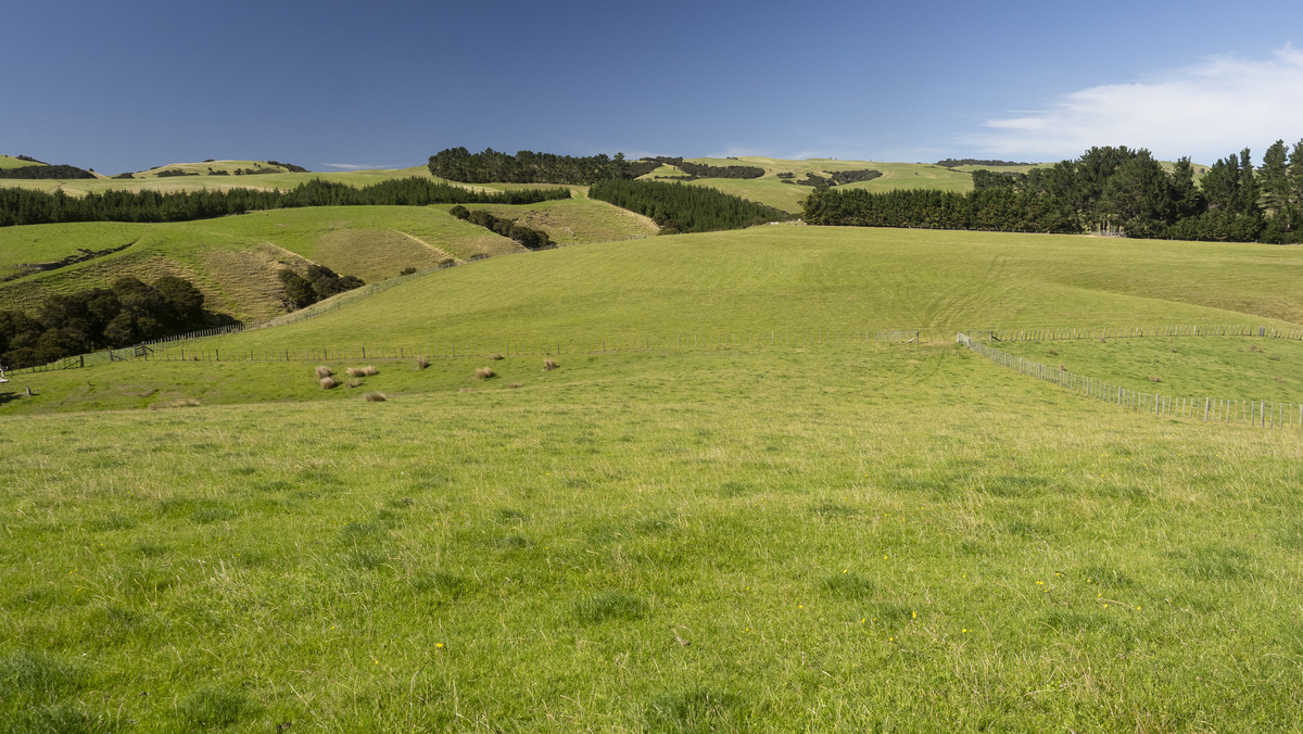 Versatility and Potential Close to Martinborough