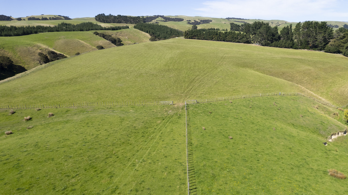 Versatility and Potential Close to Martinborough