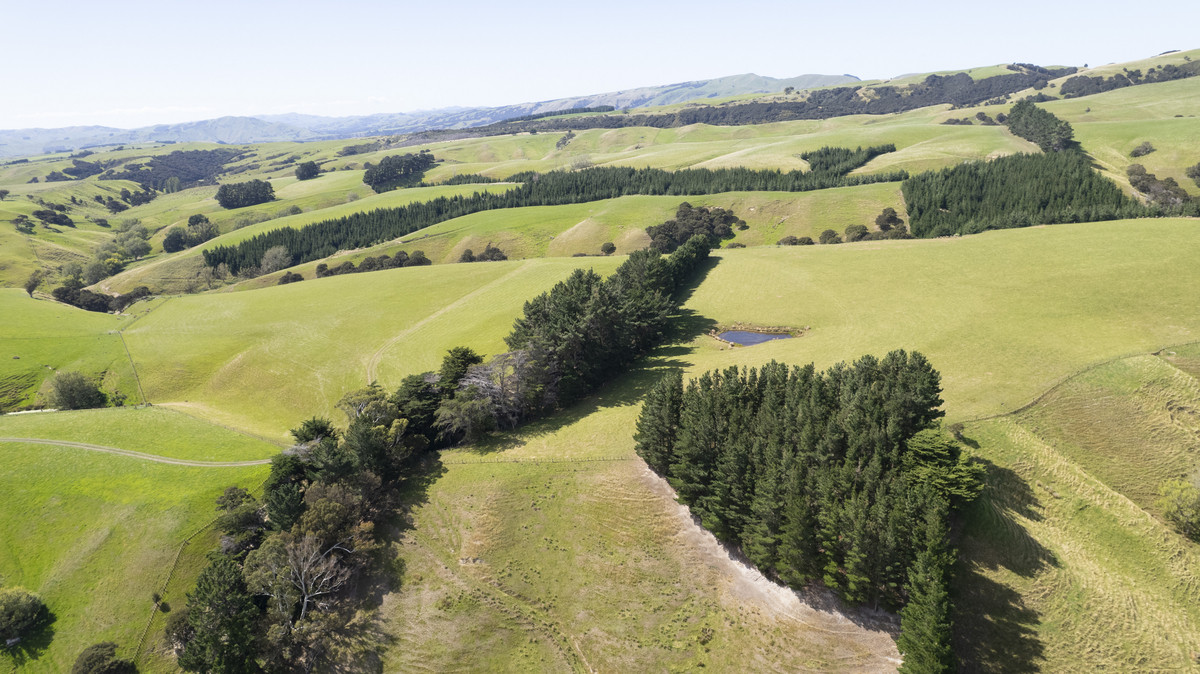Versatility and Potential Close to Martinborough
