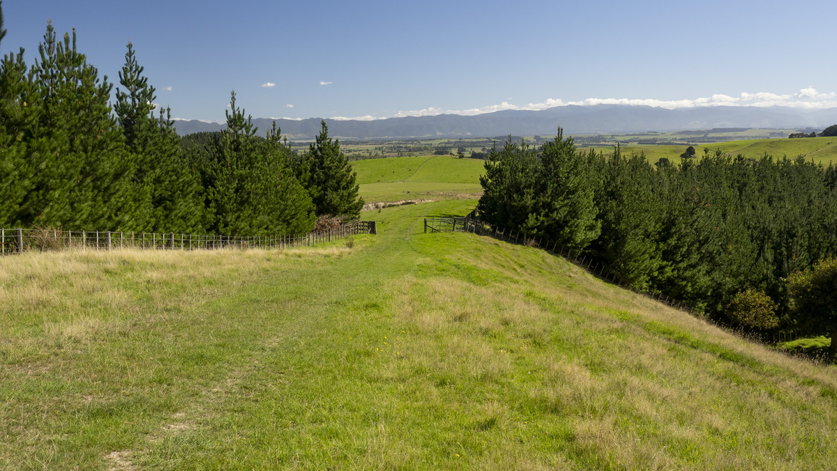 Versatility and Potential Close to Martinborough