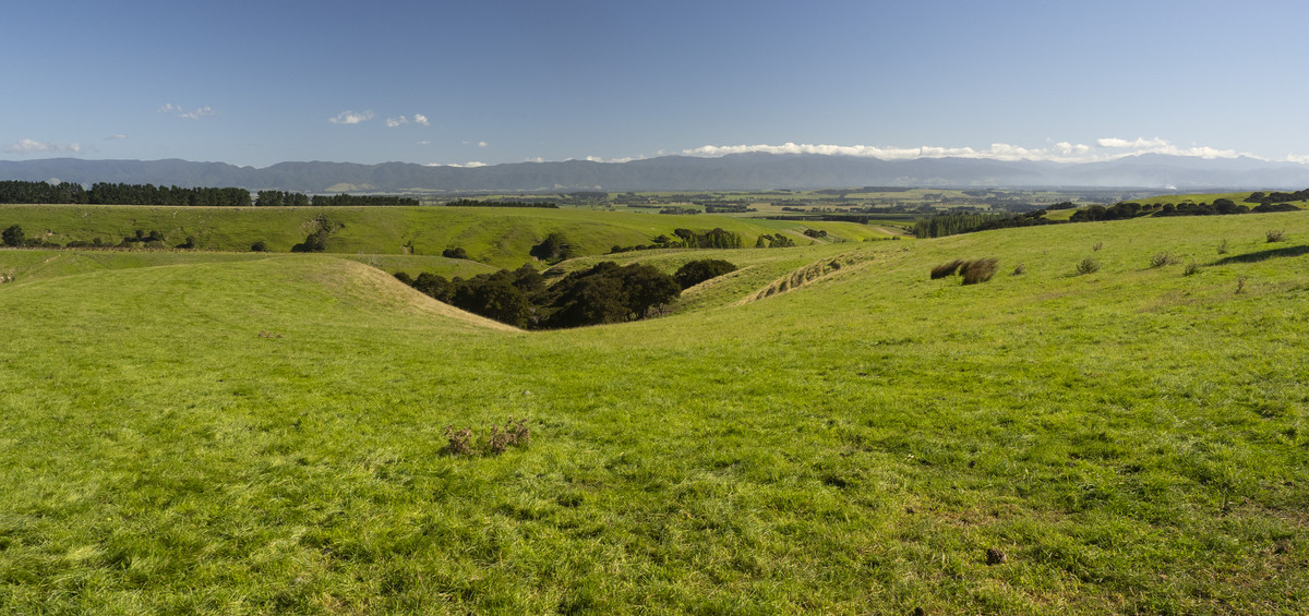 Versatility and Potential Close to Martinborough