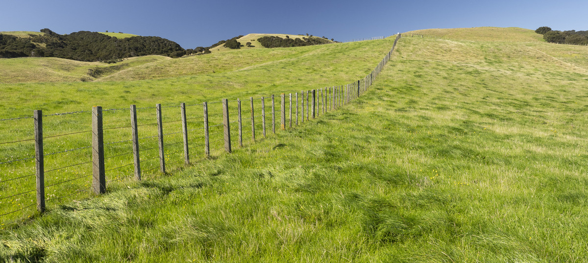 Versatility and Potential Close to Martinborough