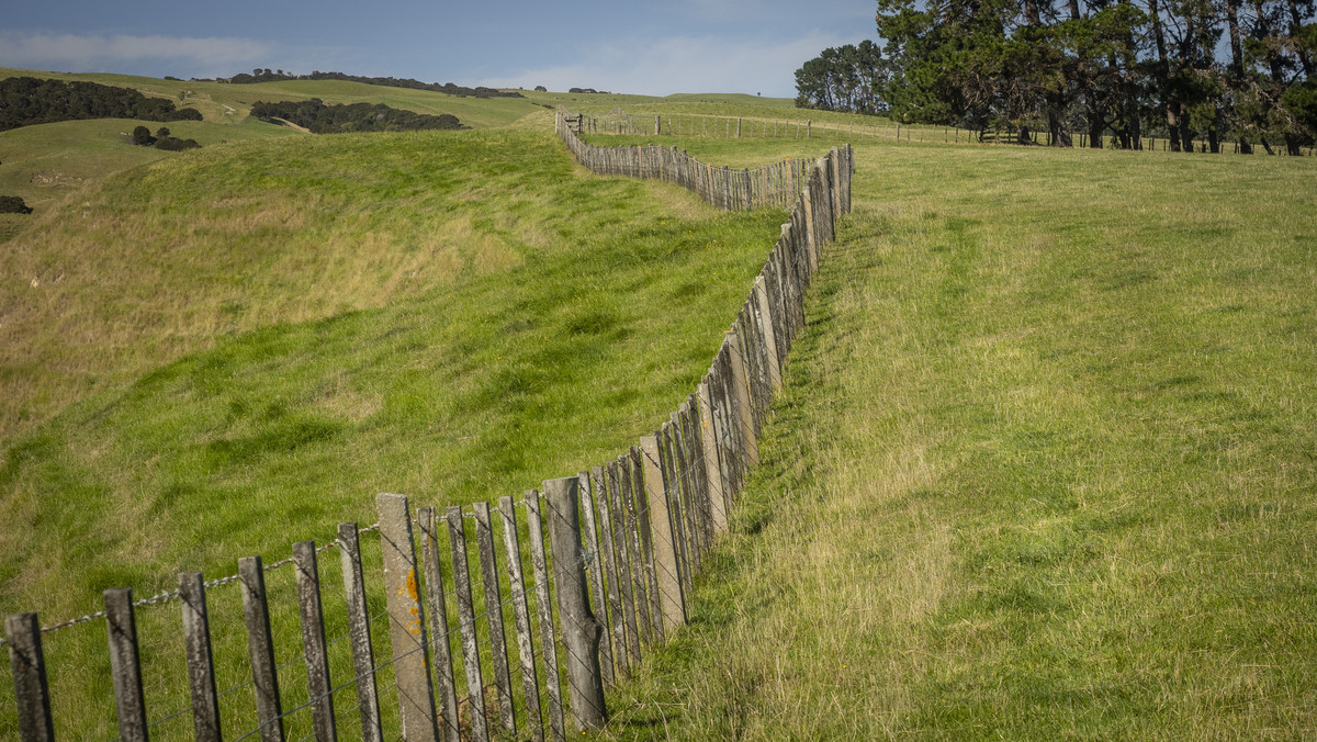 Versatility and Potential Close to Martinborough