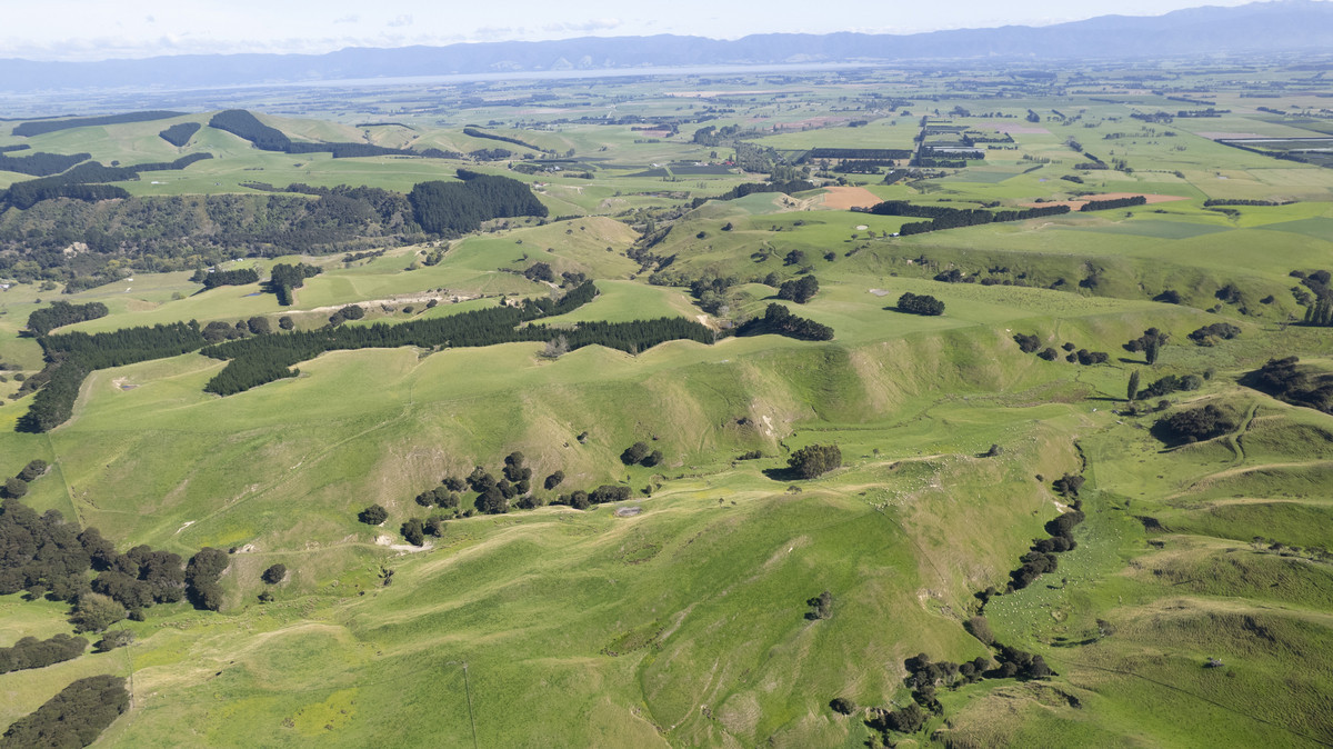 Versatility and Potential Close to Martinborough