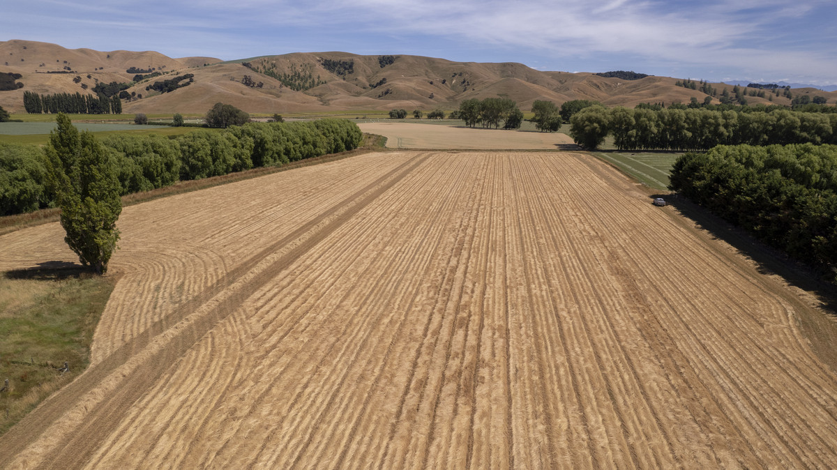 Centrally Located Cropping or Dairy Support Block