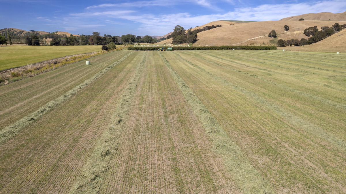 Centrally Located Cropping or Dairy Support Block