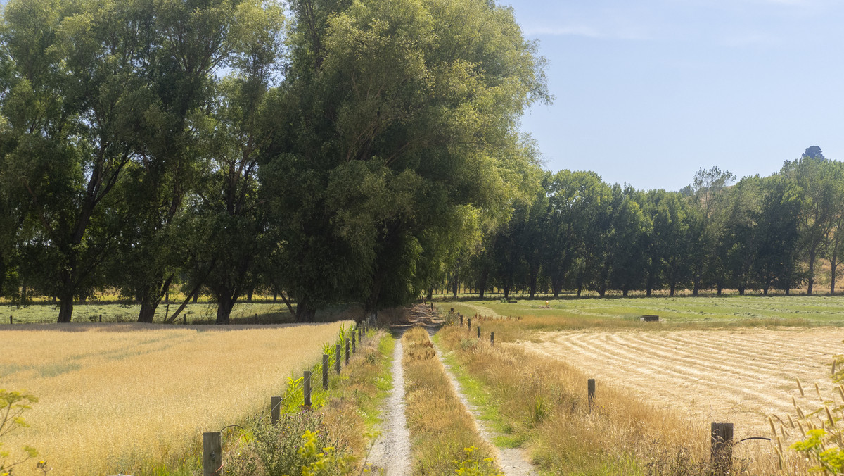 Centrally Located Cropping or Dairy Support Block
