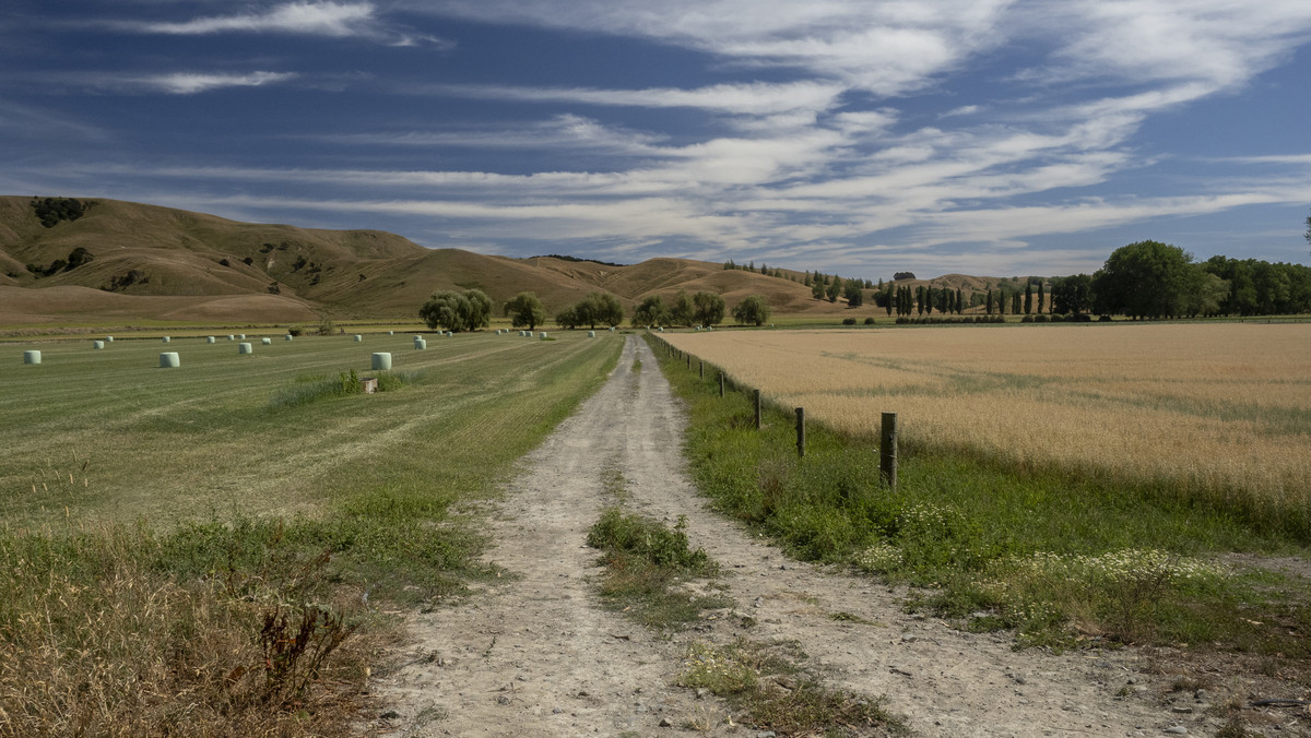 Centrally Located Cropping or Dairy Support Block